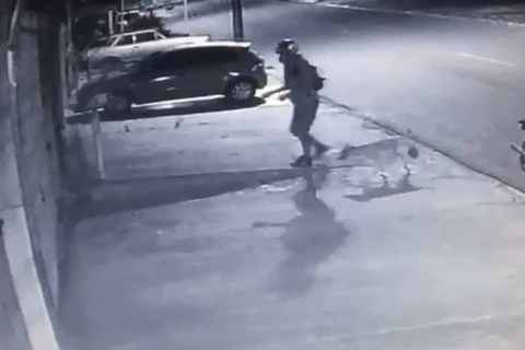 Polícia procura motociclista que abandonou cachorro na chuva em Curitiba