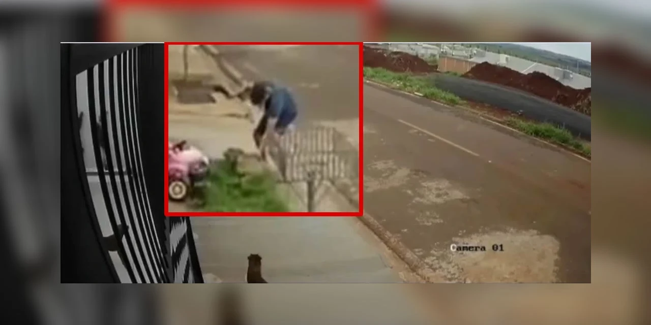 Delegado indicia individuo flagrado espancando cachorro no interior do Paraná; assista!