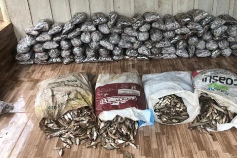 Força Verde apreende 273 kg de peixes e aplica mais de R$ 16 mil em multas a pescadores