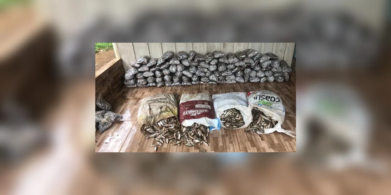 Força Verde apreende 273 kg de peixes e aplica mais de R$ 16 mil em multas a pescadores