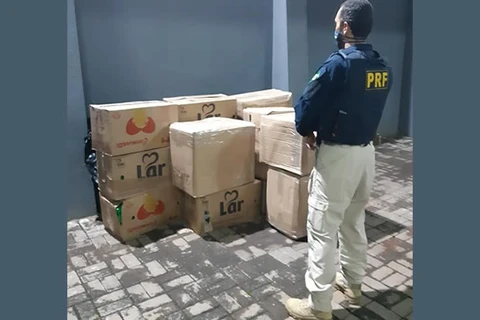 Operação conjunta apreende mais de uma tonelada de maconha no Paraná