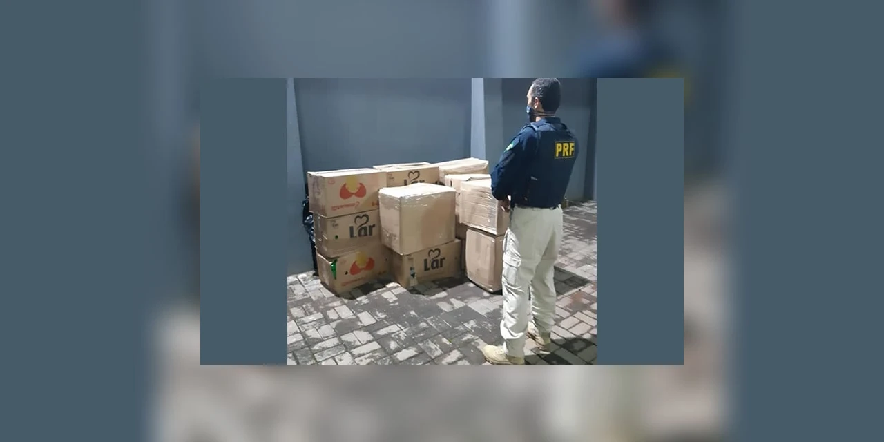 Operação conjunta apreende mais de uma tonelada de maconha no Paraná