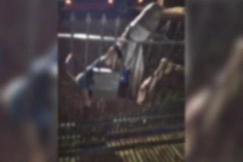 Homem fica preso em gradil durante tentativa de roubo no Paraná