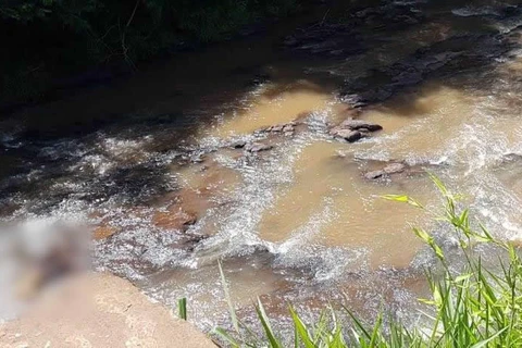 Corpo é encontrado as margens do Rio Verde em Ponta Grossa