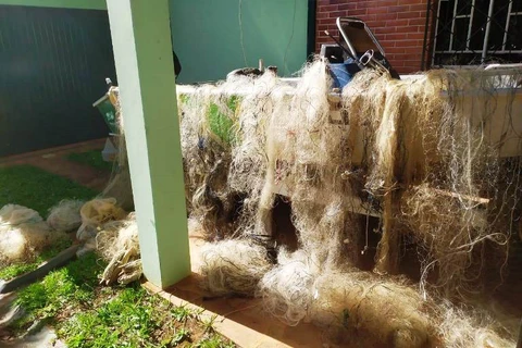 Polícia Ambiental apreende mais de 900 metros de redes de pesca predatória, em Telêmaco Borba