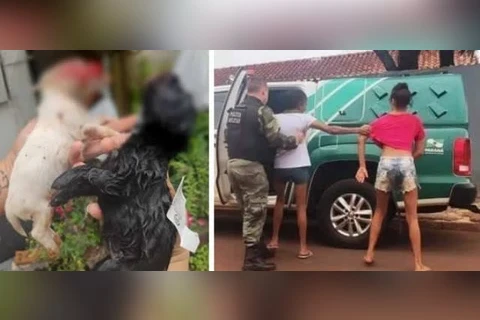 Duas mulheres são presas suspeitas de matar cães a pauladas, em Foz Iguaçu