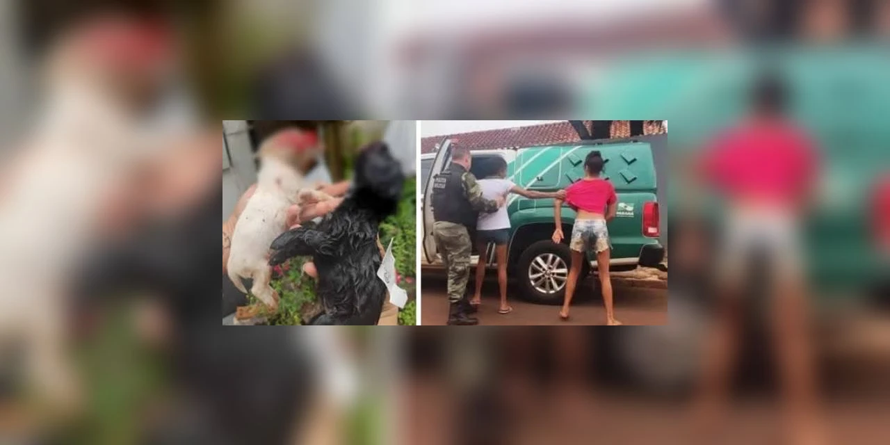 Duas mulheres são presas suspeitas de matar cães a pauladas, em Foz Iguaçu