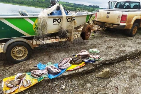 Pescadores postam fotos de pesca predatória nas redes sociais e são autuados pela Força Verde
