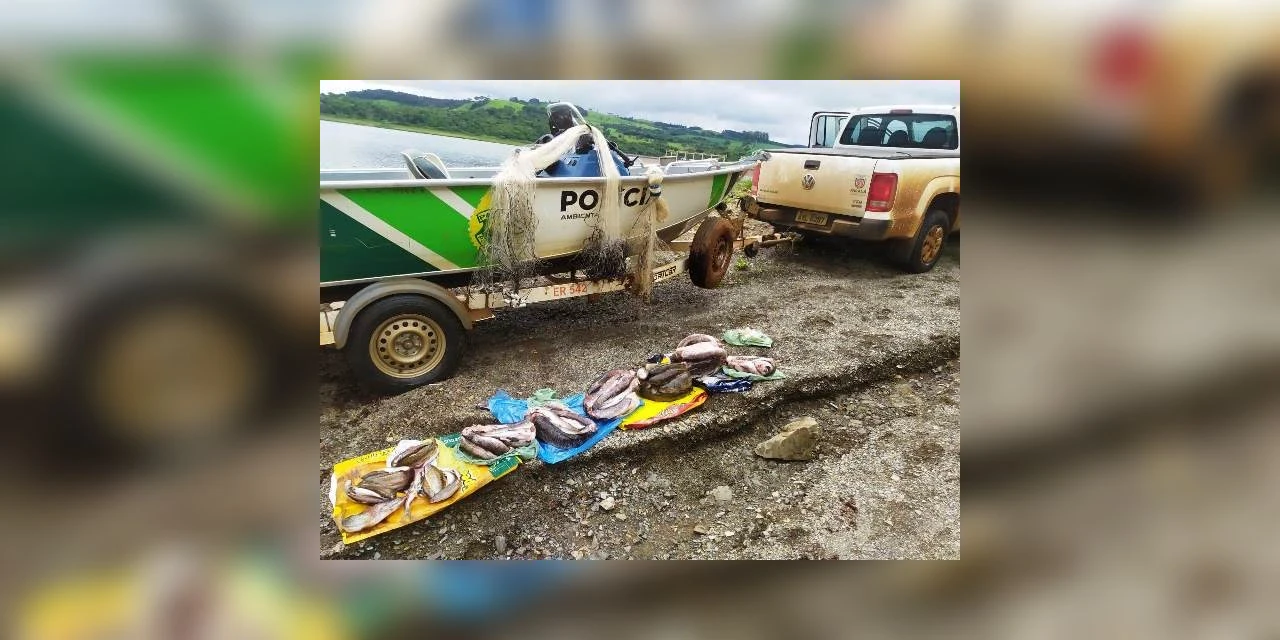 Pescadores postam fotos de pesca predatória nas redes sociais e são autuados pela Força Verde