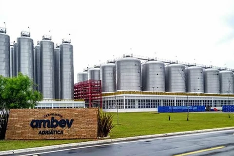 Ambev anuncia R$ 385 milhões para ampliar produção de cervejas puro malte