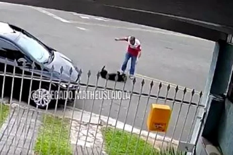 Vídeo flagra cão sendo espancado e arrastado por homem em Curitiba