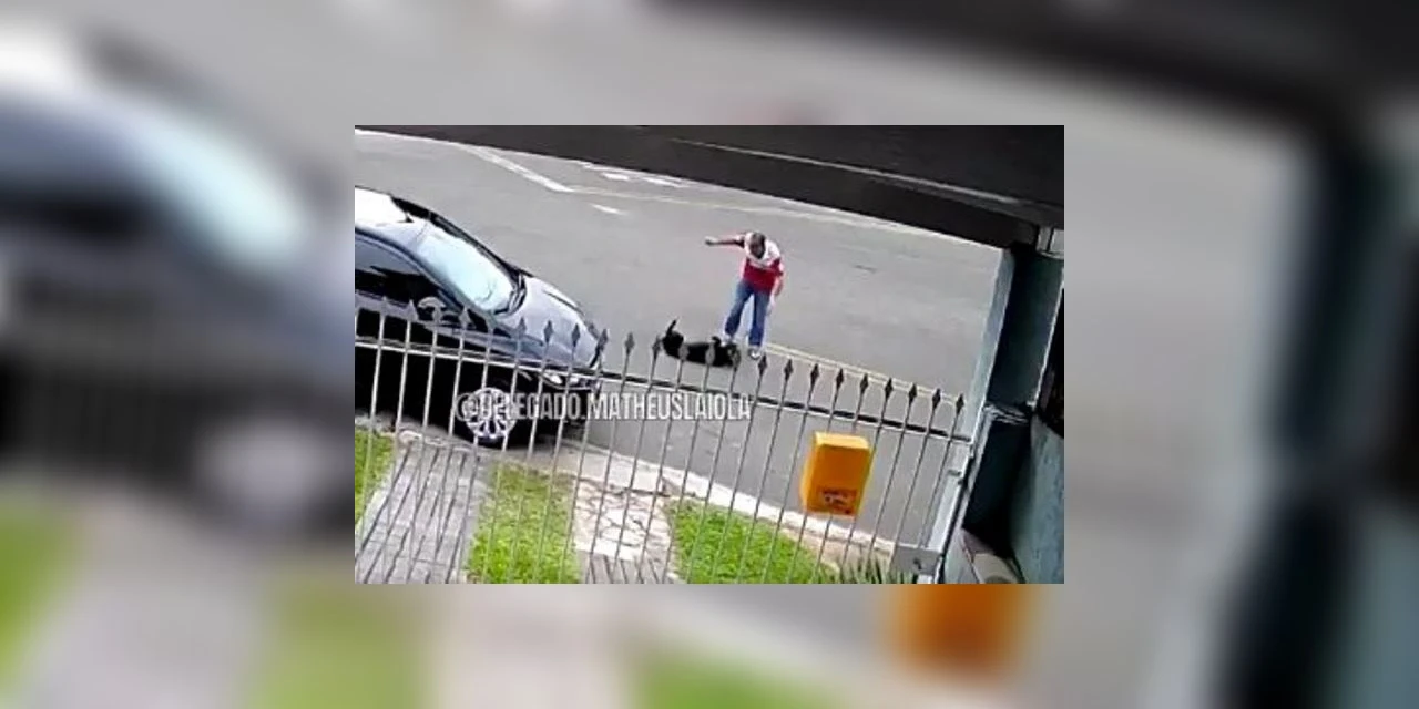 Vídeo flagra cão sendo espancado e arrastado por homem em Curitiba