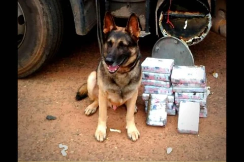 Policiais prestam homenagem a cão farejador que morreu aos 12 anos de idade