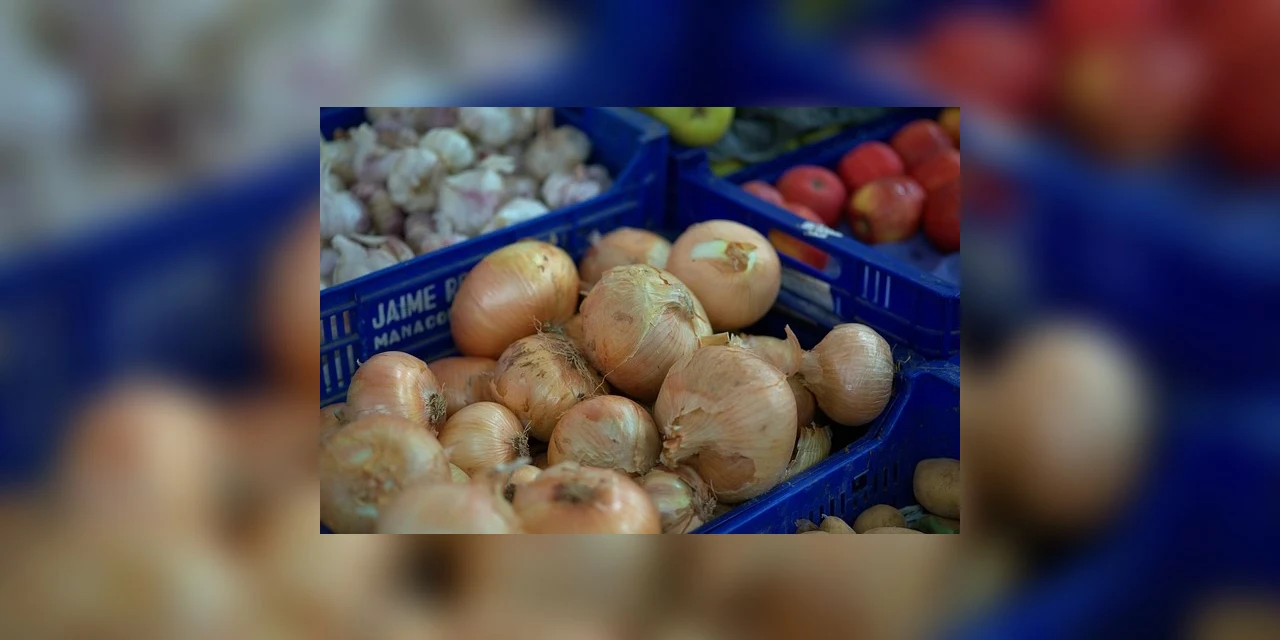 Preço da cebola sobe 49,19% e cesta básica em PG chega a R$ 667, aponta pesquisa da UEPG