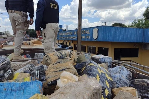 Apreensão de maconha escondida em carga de milho é a maior da historia da PRF