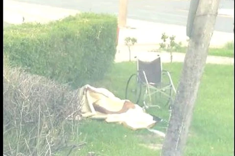 Casal é flagrado fazendo sexo ao lado da rodoviária de PG