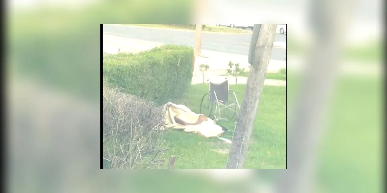 Casal é flagrado fazendo sexo ao lado da rodoviária de PG