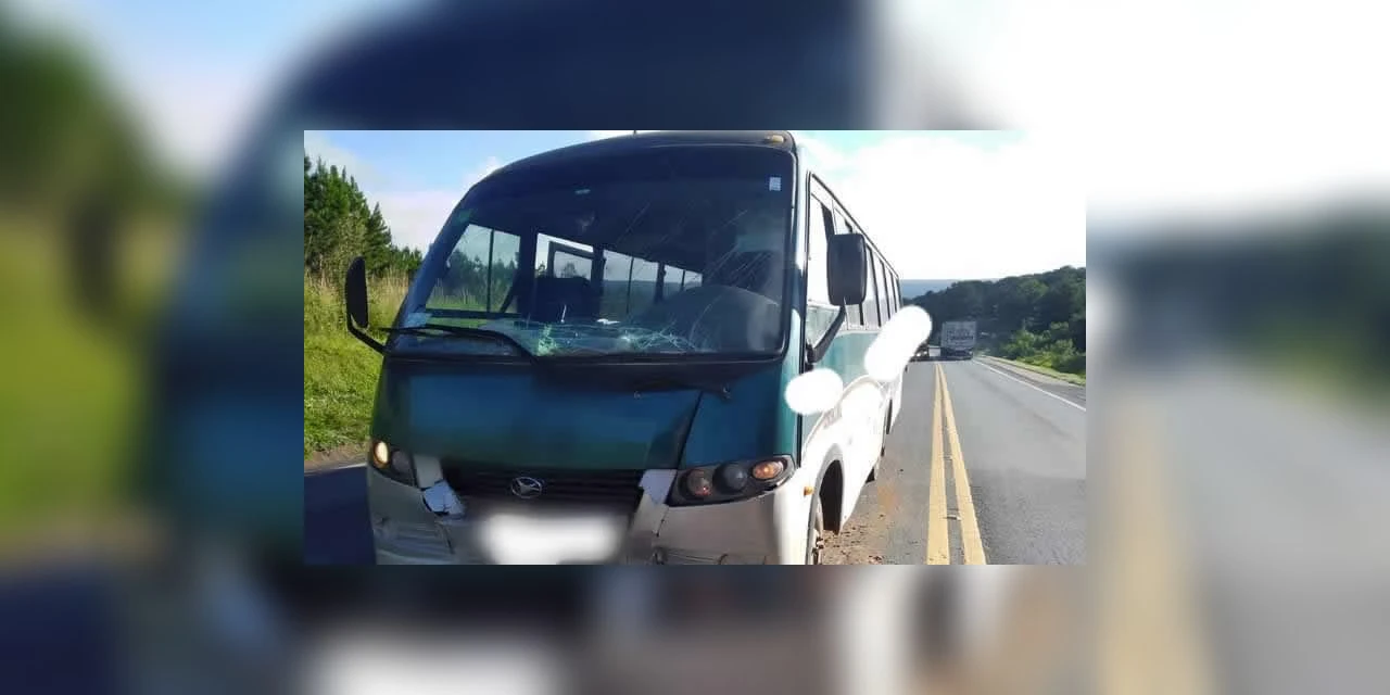Quatro pessoas ficam feridas após acidente entre ônibus e caminhão na PR-151, em Pirai do Sul