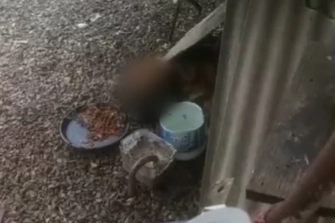 Cachorro é encontrado morto e preso a uma corrente; tutor foi preso