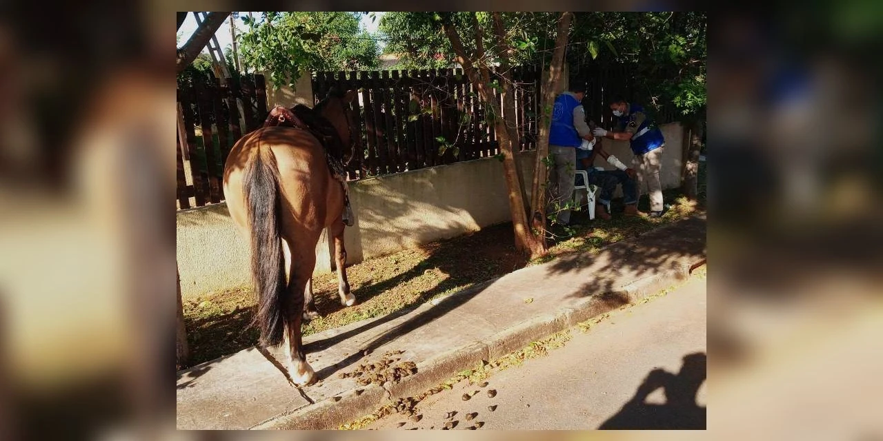 Idoso é atendido pelo Siate após levar cabeçada de cavalo em PG; veja video!