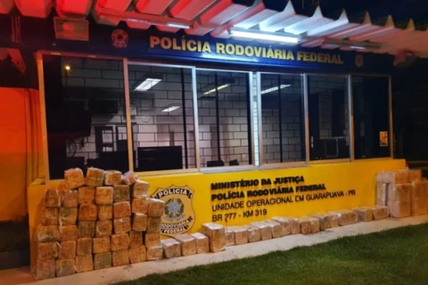 PRF apreende quase uma tonelada de maconha escondida em carga de laticínios