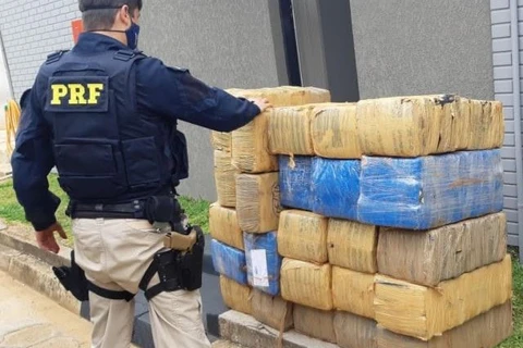 PRF apreende quase 22 toneladas de drogas nos Campos Gerais em 2020