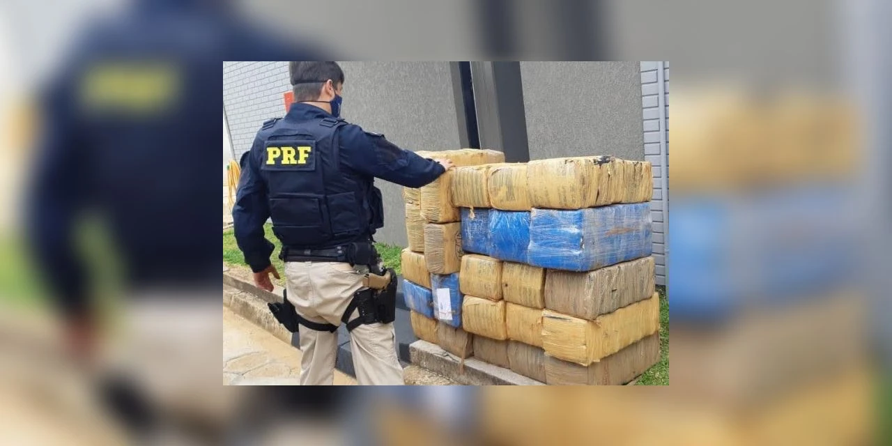 PRF apreende quase 22 toneladas de drogas nos Campos Gerais em 2020