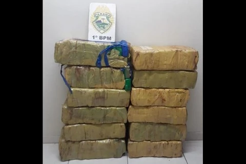 PM apreende quase 200 Kg de maconha em bairro de PG