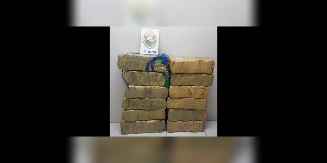 PM apreende quase 200 Kg de maconha em bairro de PG