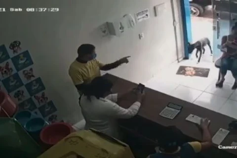 Cão ferido entra sozinho em clínica veterinária e é atendido; Veja vídeo!