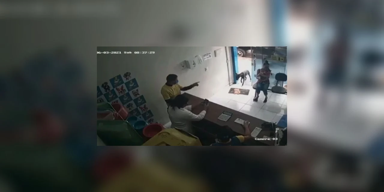 Cão ferido entra sozinho em clínica veterinária e é atendido; Veja vídeo!