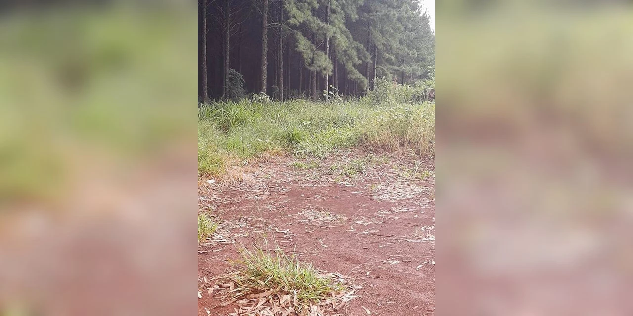 Policia civil prende suspeito de espancar e estuprar mulher em Imbituva