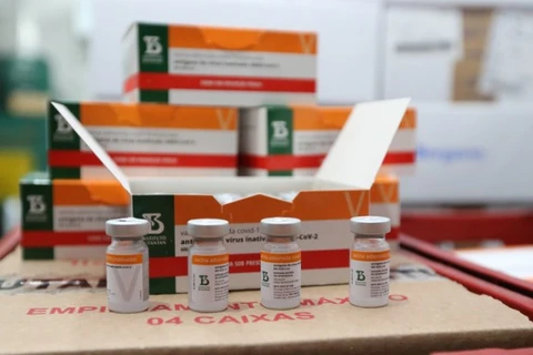 Paraná recebe novo lote com 258,4 mil doses de vacinas contra Covid-19