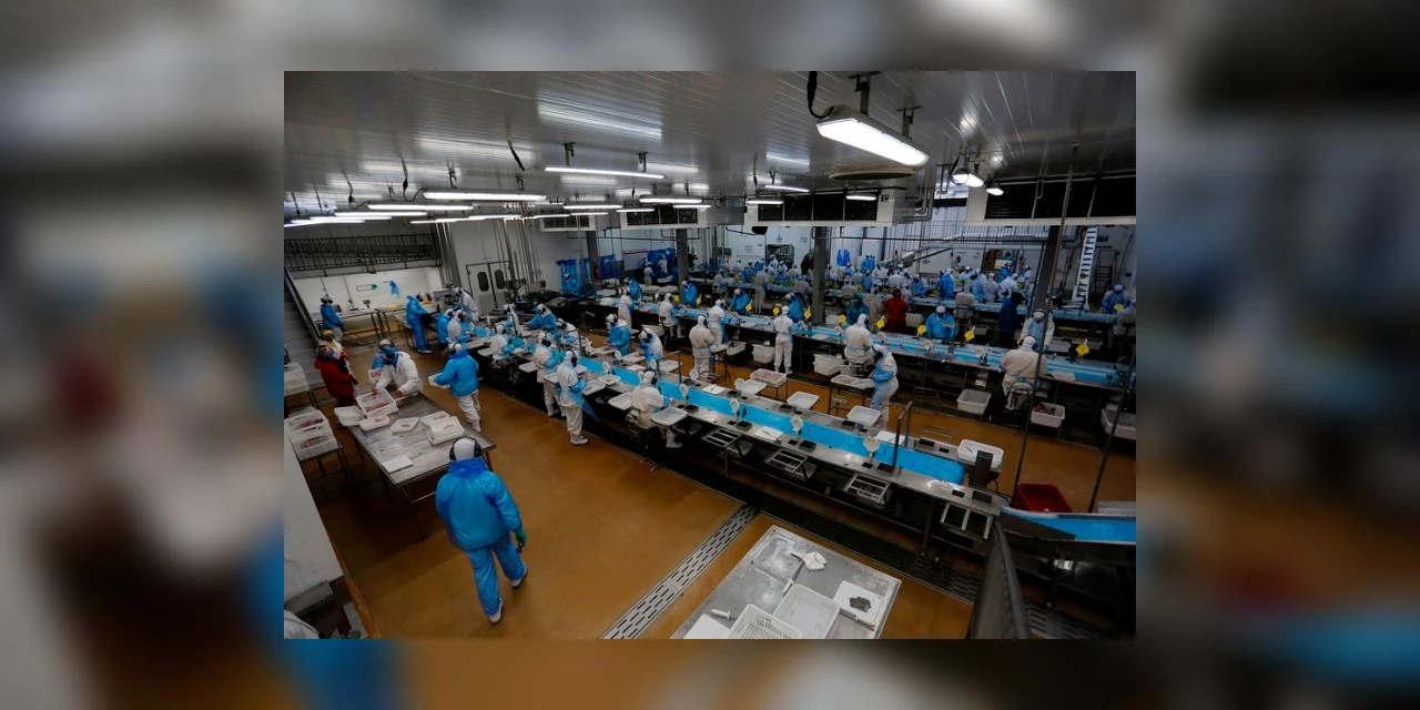 Paraná lidera no Sul e é o 3º do País com 41,6 mil empregos formais gerados