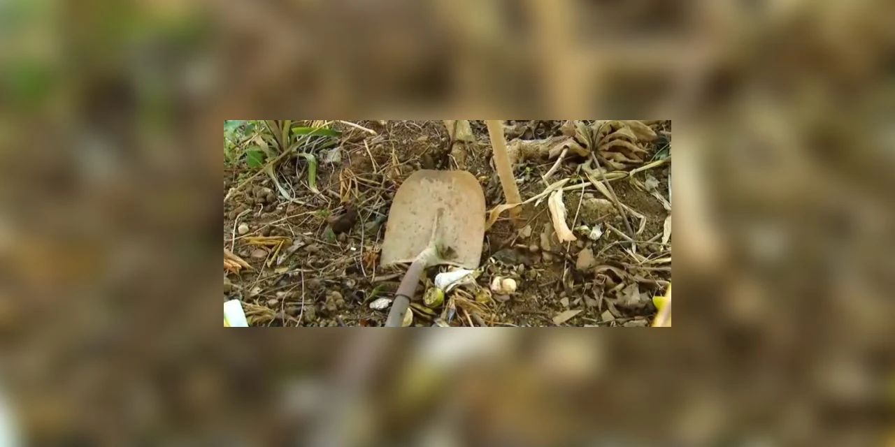 Estudante de medicina é assassinada e enterrada no quintal da casa do criminoso