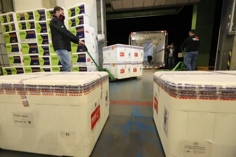 Paraná receberá mais 309,2 mil doses de vacinas contra Covid-19