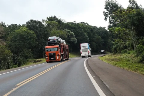 Detran alerta sobre mudança no prazo para exame toxicológico periódico