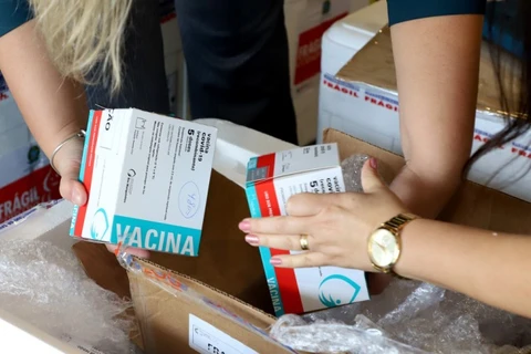 Lote de vacinas para grávidas e pessoas com comorbidades será distribuído nesta terça-feira