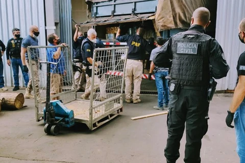 Policias incineram mais de 2 toneladas de drogas em Ponta Grossa