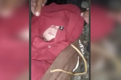 Recém-nascido é encontrado abandonado em matagal no litoral de SP