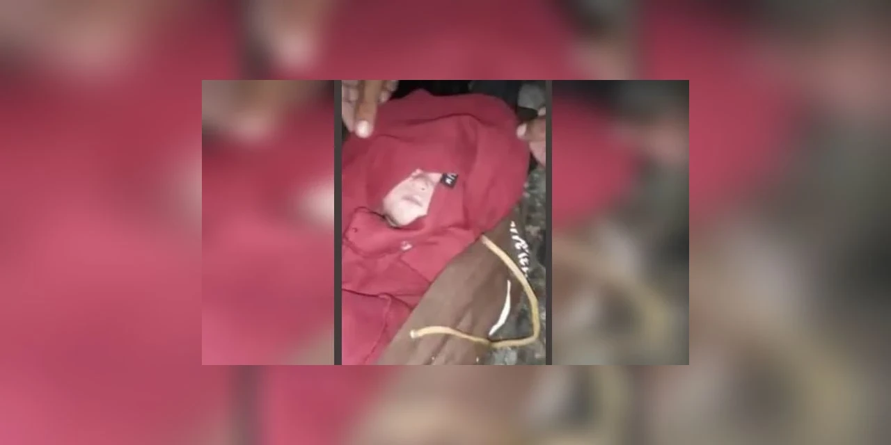Recém-nascido é encontrado abandonado em matagal no litoral de SP