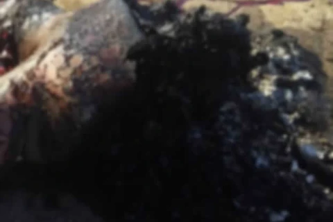 Corpo carbonizado é encontrado em terreno baldio no Cara-Cará