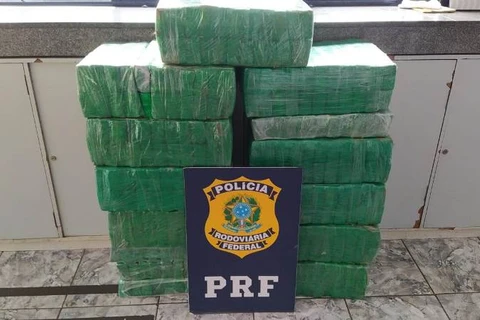 PRF realiza apreensão de mais de 700 quilos de maconha na região dos Campos Gerais
