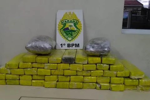 Adolescentes são apreendidas com mais de 40 quilos de maconha, em PG