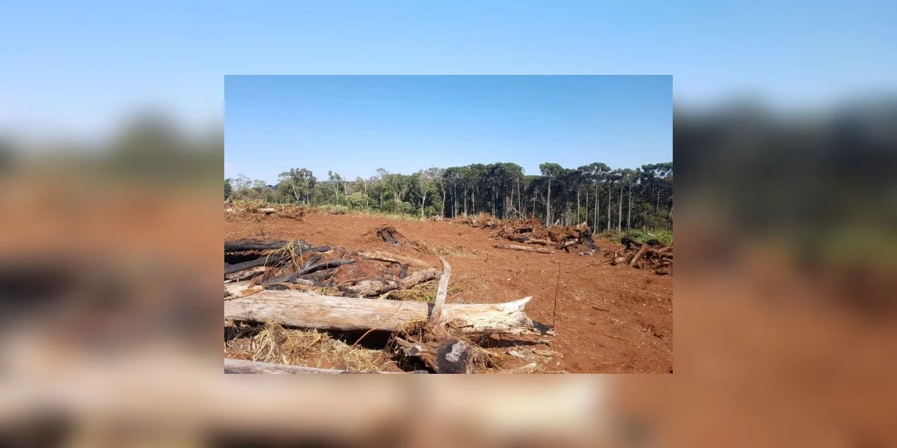 Flagra de 406 hectares desmatados gera R$ 4,2 milhões em multas na região