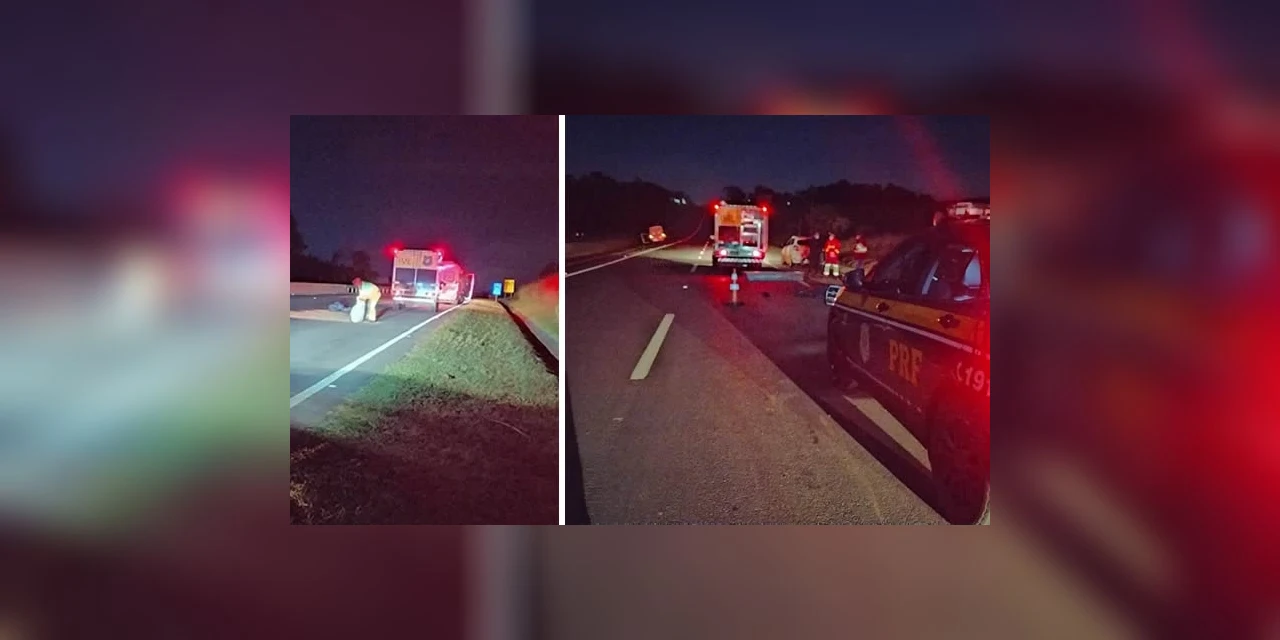 PRF registra dois atropelamentos com óbito na BR 376 em Tibagi