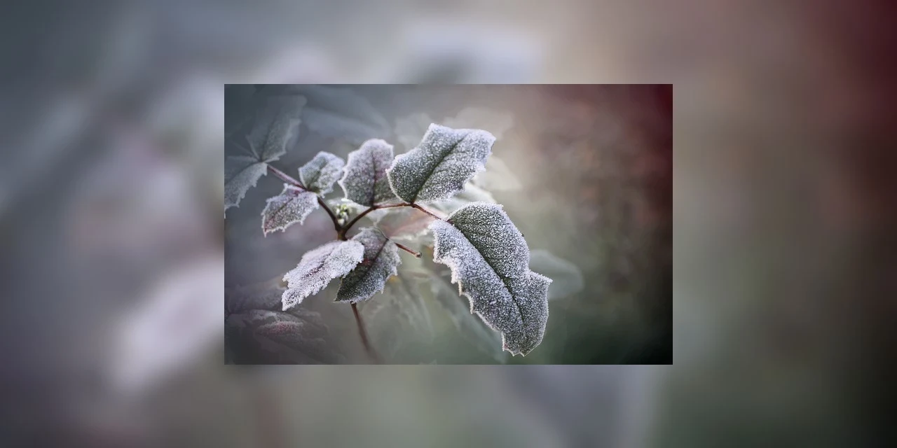 Ponta Grossa tem previsão de geada para quarta-feira; diz Simepar