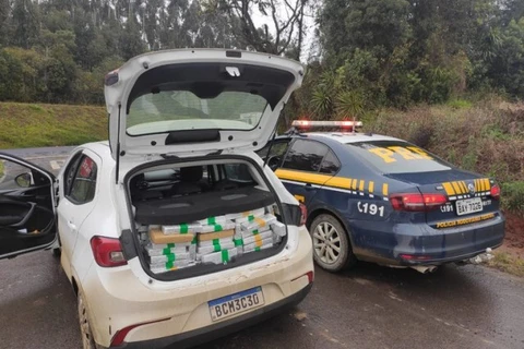 Motorista foge após colidir carro carregado com quase 300 quilos de maconha, em Palmeira