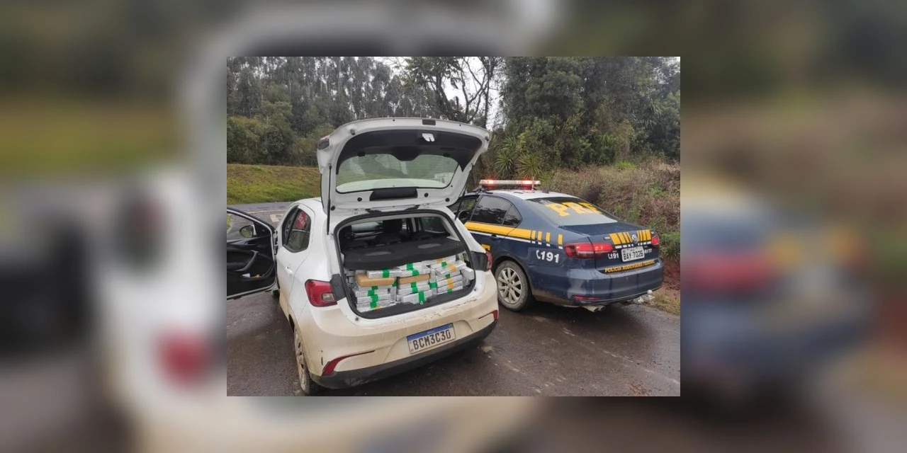 Motorista foge após colidir carro carregado com quase 300 quilos de maconha, em Palmeira