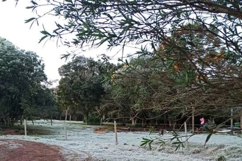 Ponta Grossa amanhece com geada e temperaturas negativas nesta quarta (30)